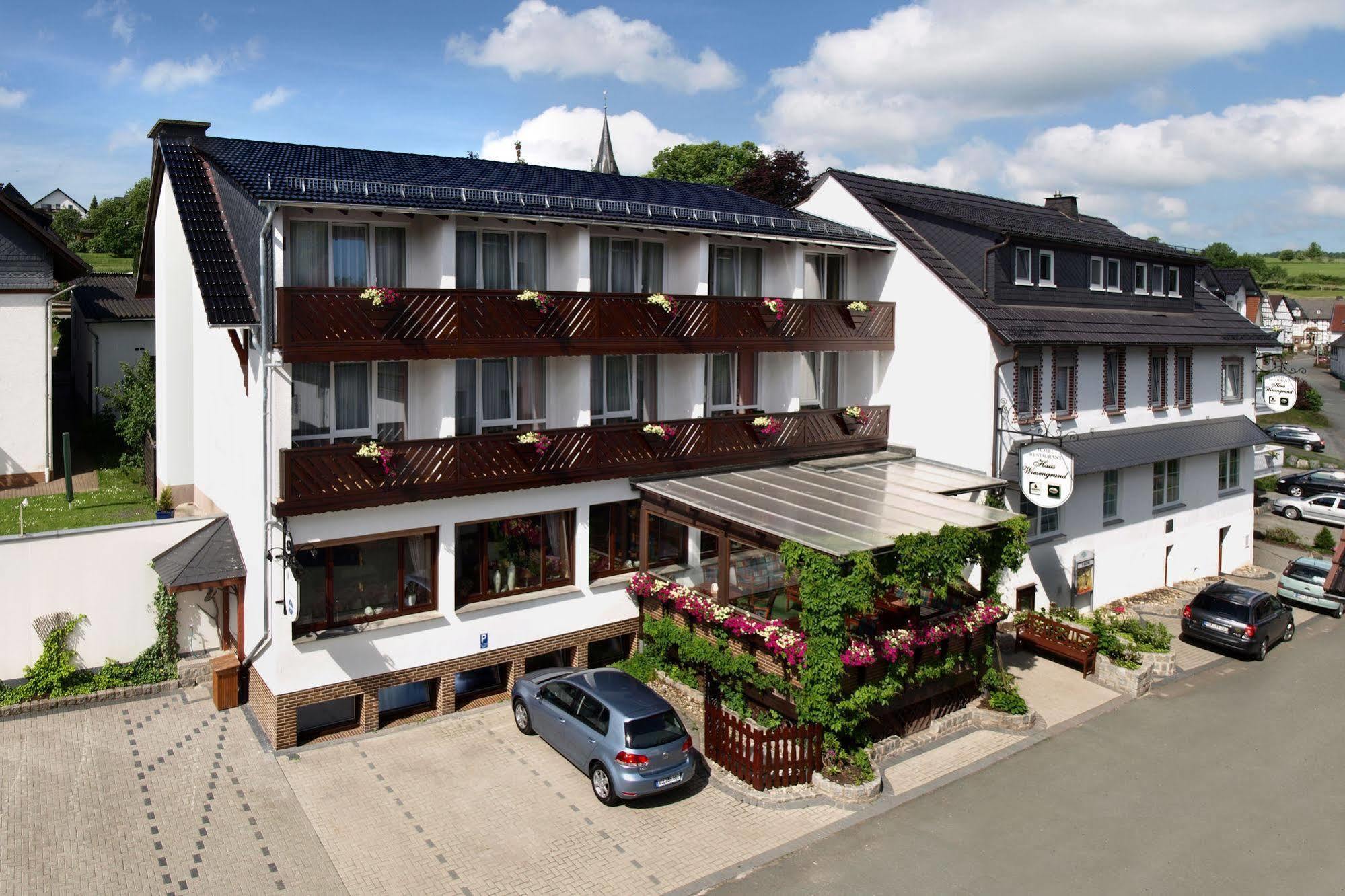 Hotel Haus Wiesengrund Халленберг Экстерьер фото